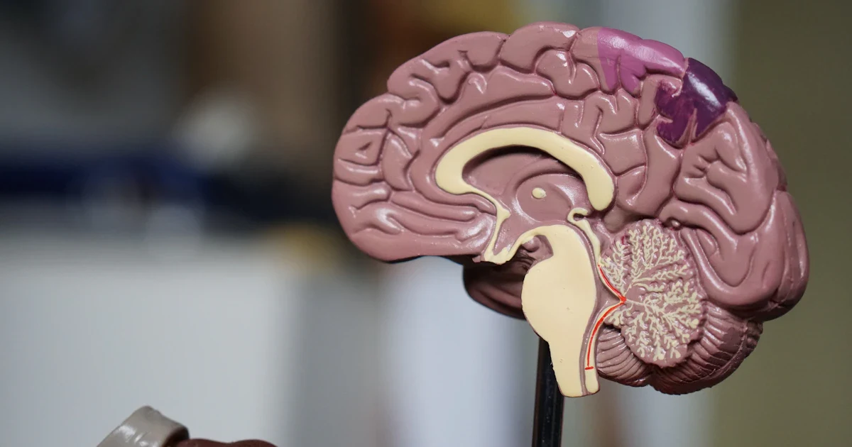 Doktor ve Muayenehane İçin Web Sitesi Nasıl Yapılır? 2025 Rehberi