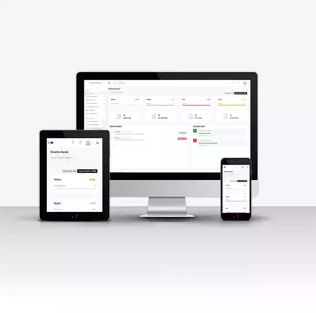 Web Satış - Domain - Hosting Satış S2 - Ekran görüntüsü 3