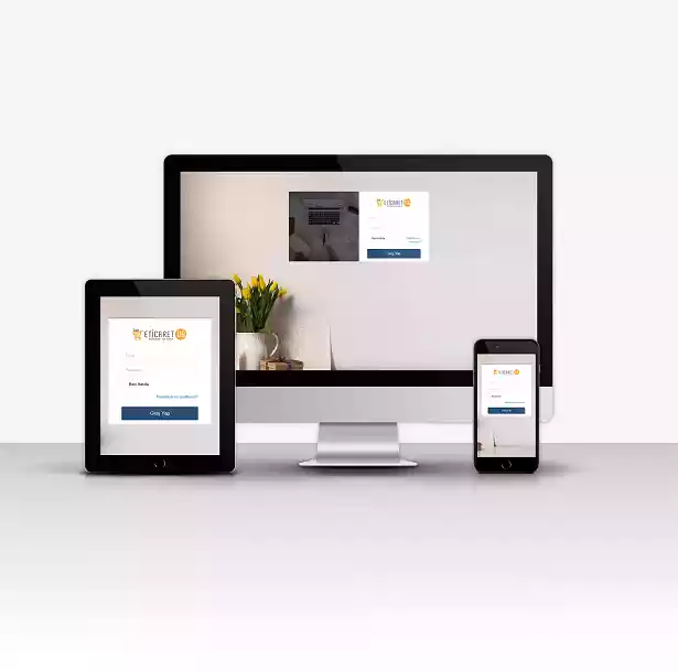 Platin E-Ticaret S6 - Ekran görüntüsü 3