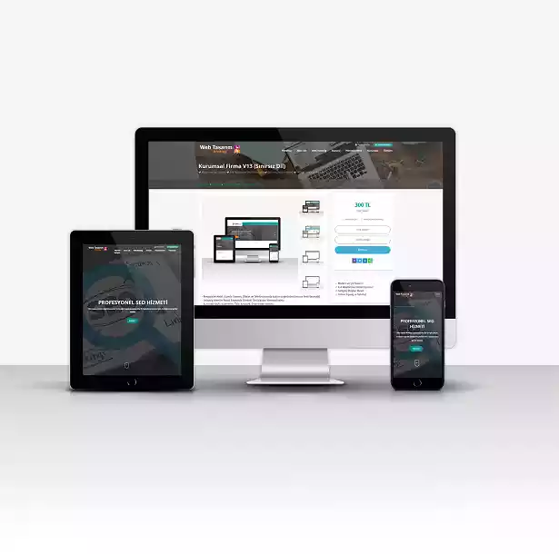 Web Satış - Domain - Hosting Satış S2 - Ekran görüntüsü 2